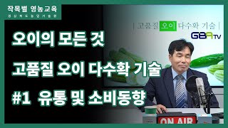 고품질 오이 다수확 기술 1편 - 우리나라 오이 유통 및 소비동향, 트렌드