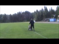 otteluennakko sc riverball fc blackbird