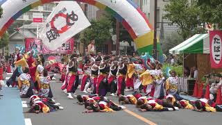 朝霞鳴子一族 め組2019　＠浦和よさこい　東口B会場