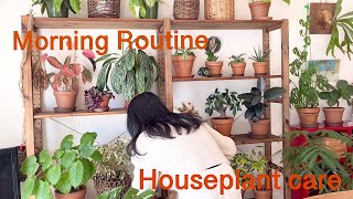 アーバンジャングルな部屋を目指す観葉植物のある暮らし/ モーニングルーティン/ Morning Routine  houseplant  care /plant vlog