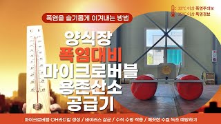 마이크로버블 용존산소공급기