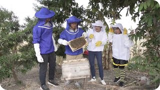 Be a Beekeeper for a Day (追「蜂」之旅)- Virtual Alumni Reunion 2021