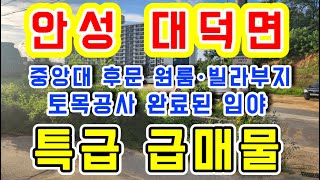 [안성 토지]안성 대덕면 내리/중앙대 안성캠 후문 원룸 및 빌라부지 최고의 입지 토목공사완료된 급매물 임야