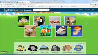 Finding Elementary Databases and Citations