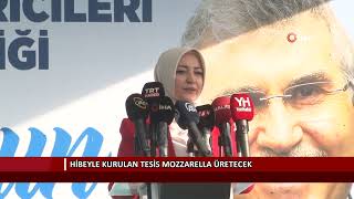 Hibeyle kurulan tesis mozzarella üretecek