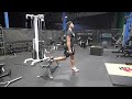 db bulgarian split squat