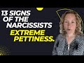 13 Signs Of The Narcissists Extreme Pettiness. (Understanding Narcissism.) #narcissist