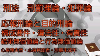 【音声メイン】刑法#3 刑罰理論・犯罪論【イヤホン推奨】