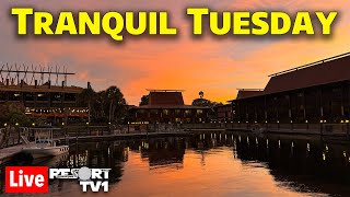 🔴Live: Tranquil Tuesday - Magic Kingdom \u0026 Monorail Resort Hopping - 2-11-25 - Walt Disney World