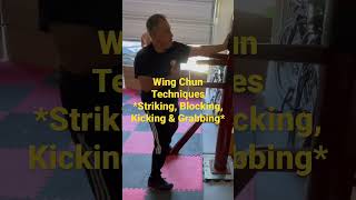 Wing Chun Techniques*Striking, Blocking, Kicking & Grabbing* #shorts #wingchun