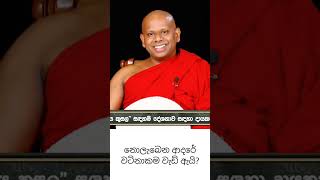 නොලැබෙන ආදරේ වටිනාකම වැඩි ඇයි?🥺♥️🙏🏼#bana #dharamadeshana#welimada_saddhaseela_thero