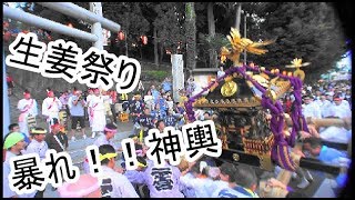 29年  生姜祭り 二宮神社 例大祭 本社神輿立派な渡御です。