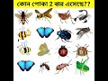 বুদ্ধির ধাঁধা 😇😇 কোন পোকা 2 বার আবির্ভূত হয়েছে 😇😇 brain test 🥺🥺 p 60 shorts