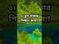 ভরসা তাকেই কর যে তোমার এই ৩টা জিনিস বুঝবে। motivation youtubeshorts motivationalquotes