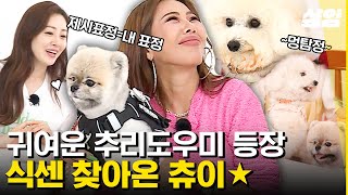 [#식스센스3] 귀염뽀짝 츄리 도우미 츄이 등장🧡 제시 강아지 츄이와 함께 하는 고급진 강아지 다이닝 코스 요리 먹방! 너무 귀여워서 추리가 불가능한데요ㅜㅜ | #샾잉