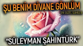 ŞU BENİM DİVANE GÖNLÜM - SÜLEYMAN ŞAHİNTÜRK | İlahiler, Ezgiler, En Güzel İlahiler