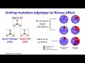 Mutation Edgotype Drives Fitness Effect in Human - Yu Xia - NetBio - Talk - ISMB/ECCB 2021