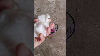 quick freezing with cotton #experiment #shorts #short #ytshorts