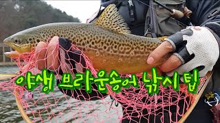 소양강 브라운송어 ( brown trout fishing ) 낚시 팁 EP-85