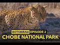 BOTSWANA | EP 2 | VICTORIA FALLS | CHOBE NATIONAL PARK | IHAHA