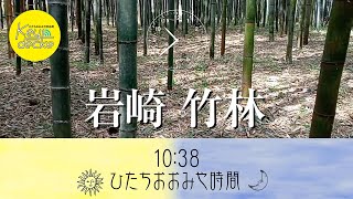 ひたちおおみや時間10:38【004-岩崎　竹林】