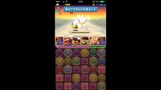 【パズドラ】伝説の空路　シヴァ＝ドラゴンパーティ