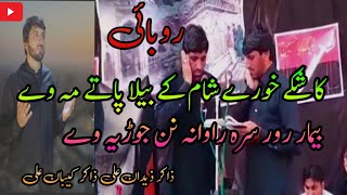 Robai پشتو||Kashky khory sham ke bila patey ma wy|| zakir zaidan ali