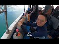 【沙巴 2】sabah 亚庇 sapi island 学潜水啦 ❗❗ kota kinabalu pulau sapi sdi diving course