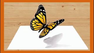 رسم فراشة ثلاثية الابعاد  3D Butterfly
