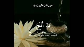 But you prefer the worldly life.