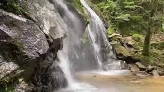 【#金引の滝】#Kanabiki Waterfall in Kyoto. Dispel the heat‼️