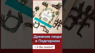 Древняя цивилизация в Томской области. А Вы знали? #история #россия #томск