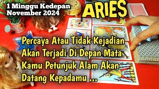 Aries november 2024 satu minggu kedepan