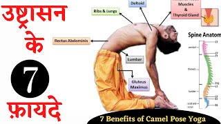 Top 7 Benefits of Camel Pose Yoga / Camel pose ke fayde / Practice this daily for a healthy spine