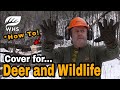 How To Improve Timber For Whitetails and Wildlife