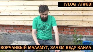 [VLOG_ЛТ#68]: маламут ворчит, окучивание картохи, зачем я веду этот ненужный канал и т.д.