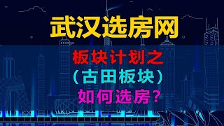 武汉选房计划第三期，楼盘篇。古田板块各个楼盘优劣势详细分析！