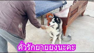 คั่วรักยายยงนะคะ | ข้าวเหนียว ขี้กระโปกหมา