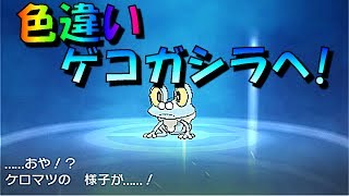 色違い黒統一 漆黒の暗殺者 激流ゲッコウガ ポケモンusum