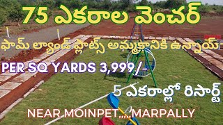 75 Acres Project with 5 Acres Resort || Farm Lands sale in Marpally near Budhera \u0026 Mominpet