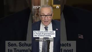 Sen. Schumer, D-N.Y., reacts to Trump's AI-generated post after shutdown meeting