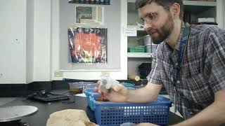 2 Density Lab