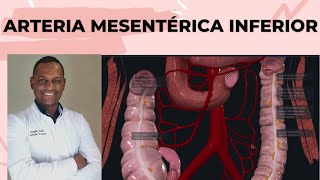 ARTERIA MESENTERICA INFERIOR( IRRIGACIÓN DE COLON IZQUIERDO)