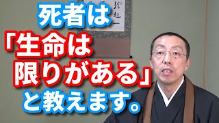 死者は、「生命には限りがある」と教えます。ショート法話(61)