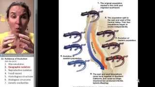 Evidence of Evolution 2- Geographic isolation