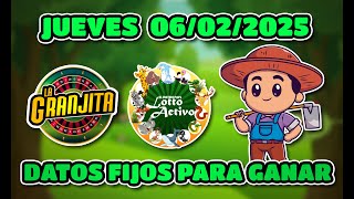 ✅ DATOS DE LOTTO ACTIVO Y LA GRANJITA PARA HOY  06/02/2025  - Tus Datos Fijos 🎯