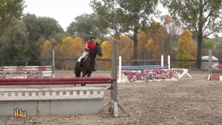 2/2 HorseJunkiesUnited.com - Show Jumping Lesson with Greg Kuti