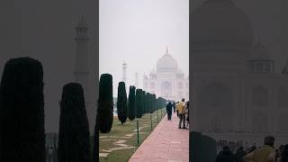 Beautiful 😍 Taj Mahal entry @50₹ #tajmahal #shorts #viralvideo