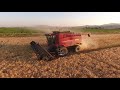 barley harvest on wiser dairy 2017