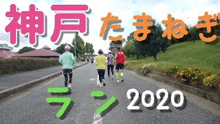 【レース】神戸ワイナリーたまねぎラン　２０．８km